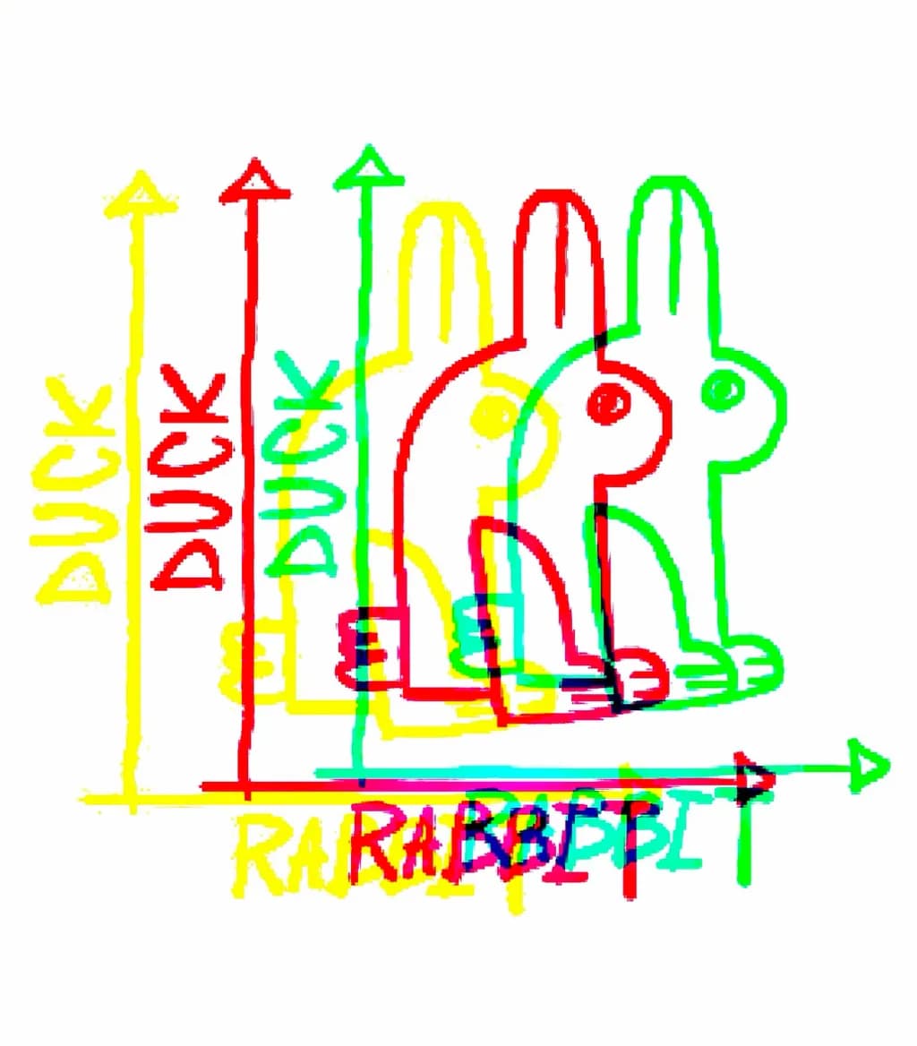 Duck or Rabbit Illusion