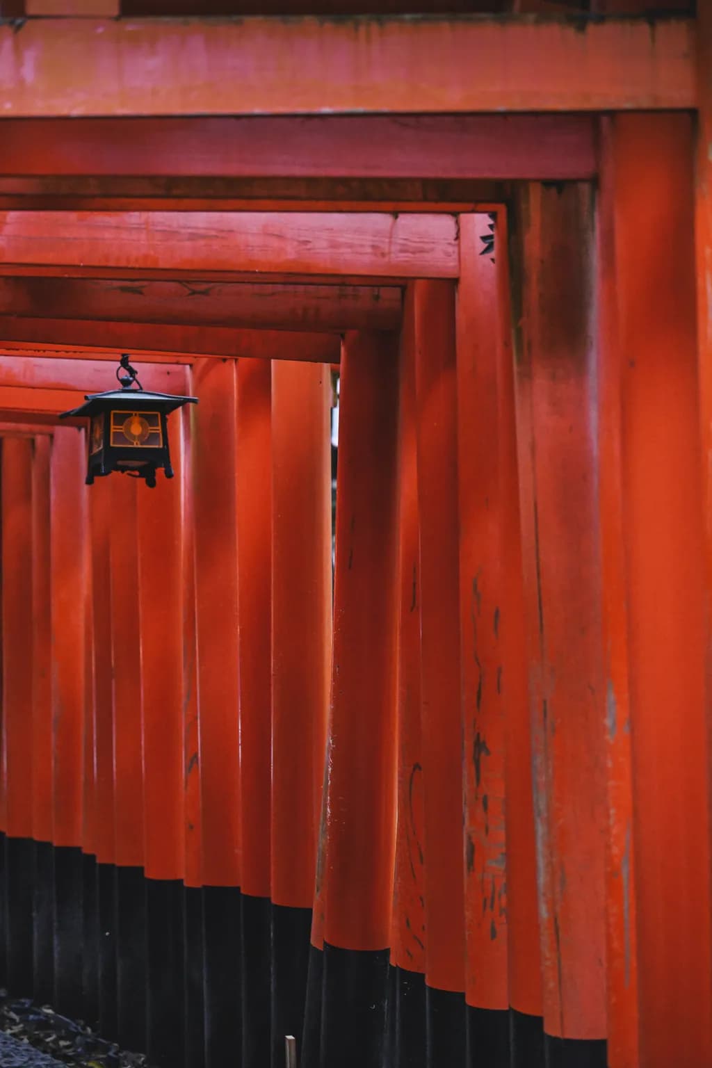 Red Torii Pathway