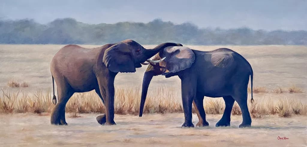 Elephant Encounter