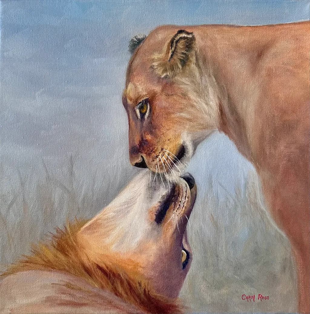 Lion Connection