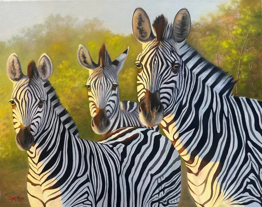 Zebra Trio