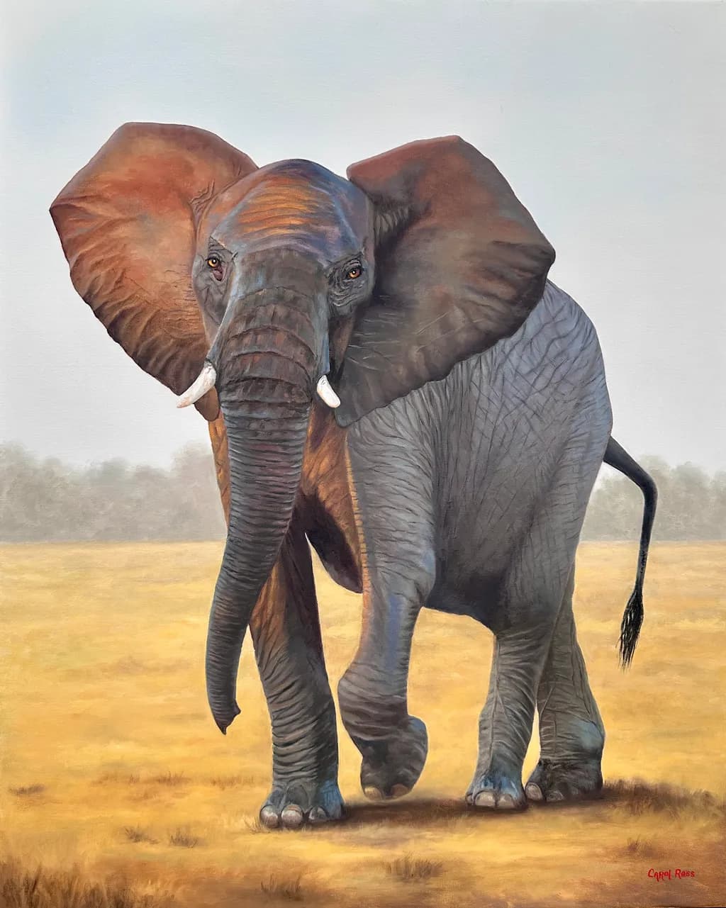 Savanna Elephant Stroll