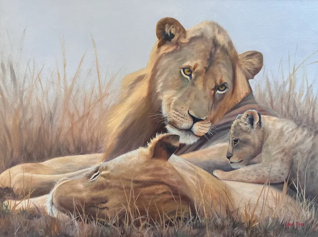 Lion Family Resting