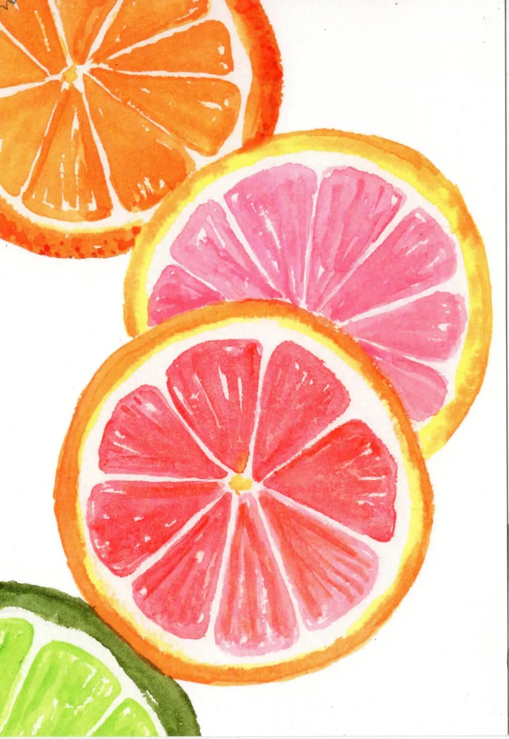 Citrus Slices