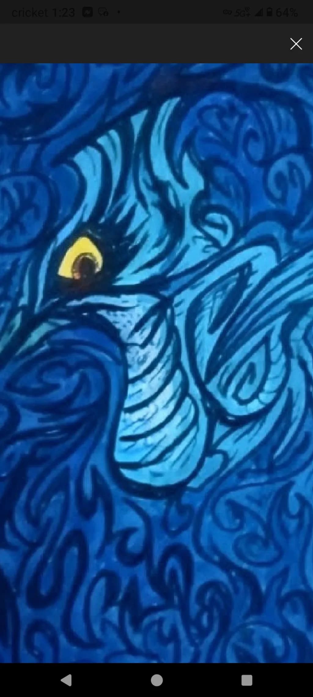 Blue Tiger Gaze