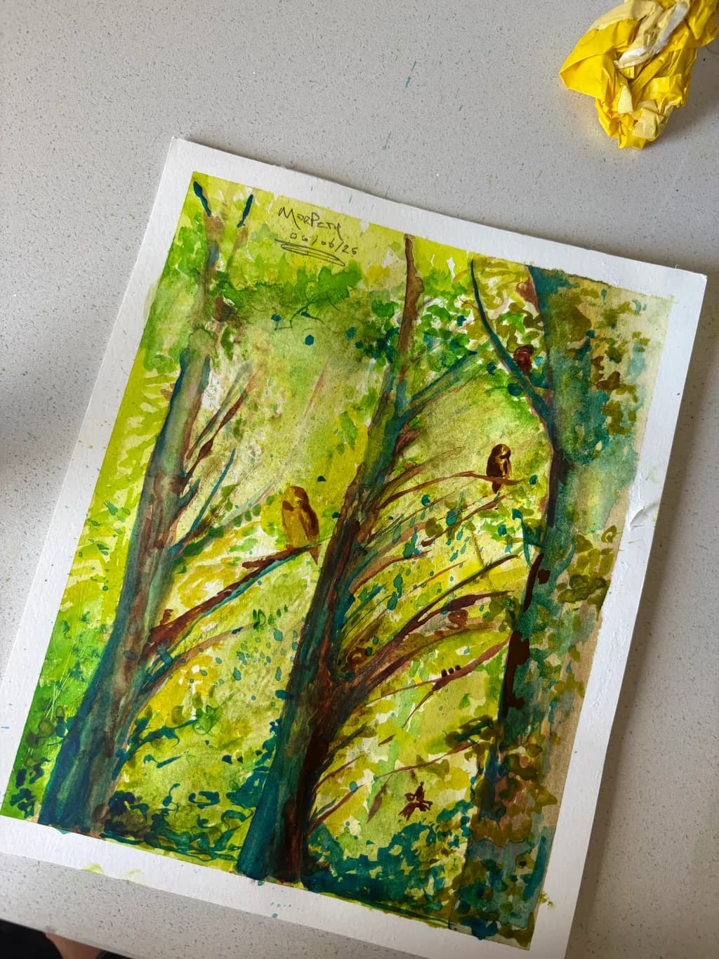 Sunlit Perch