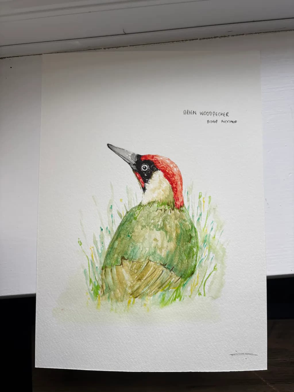 Green Woodpecker Portrait
