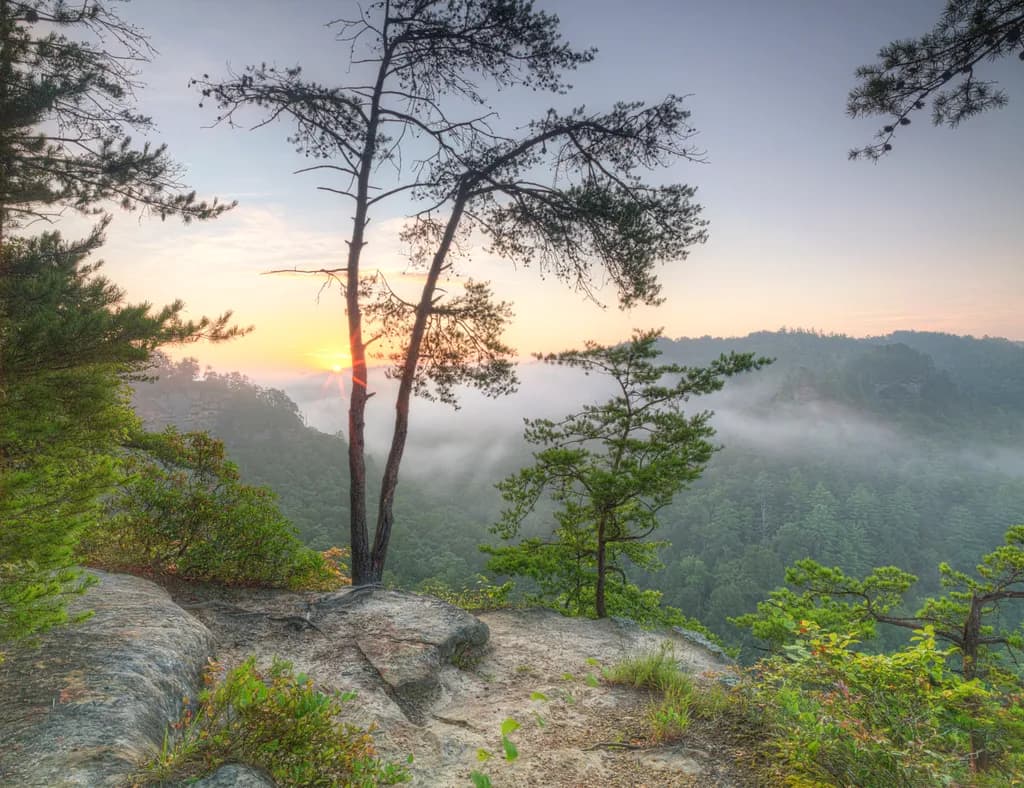 Sunrise Gorge View