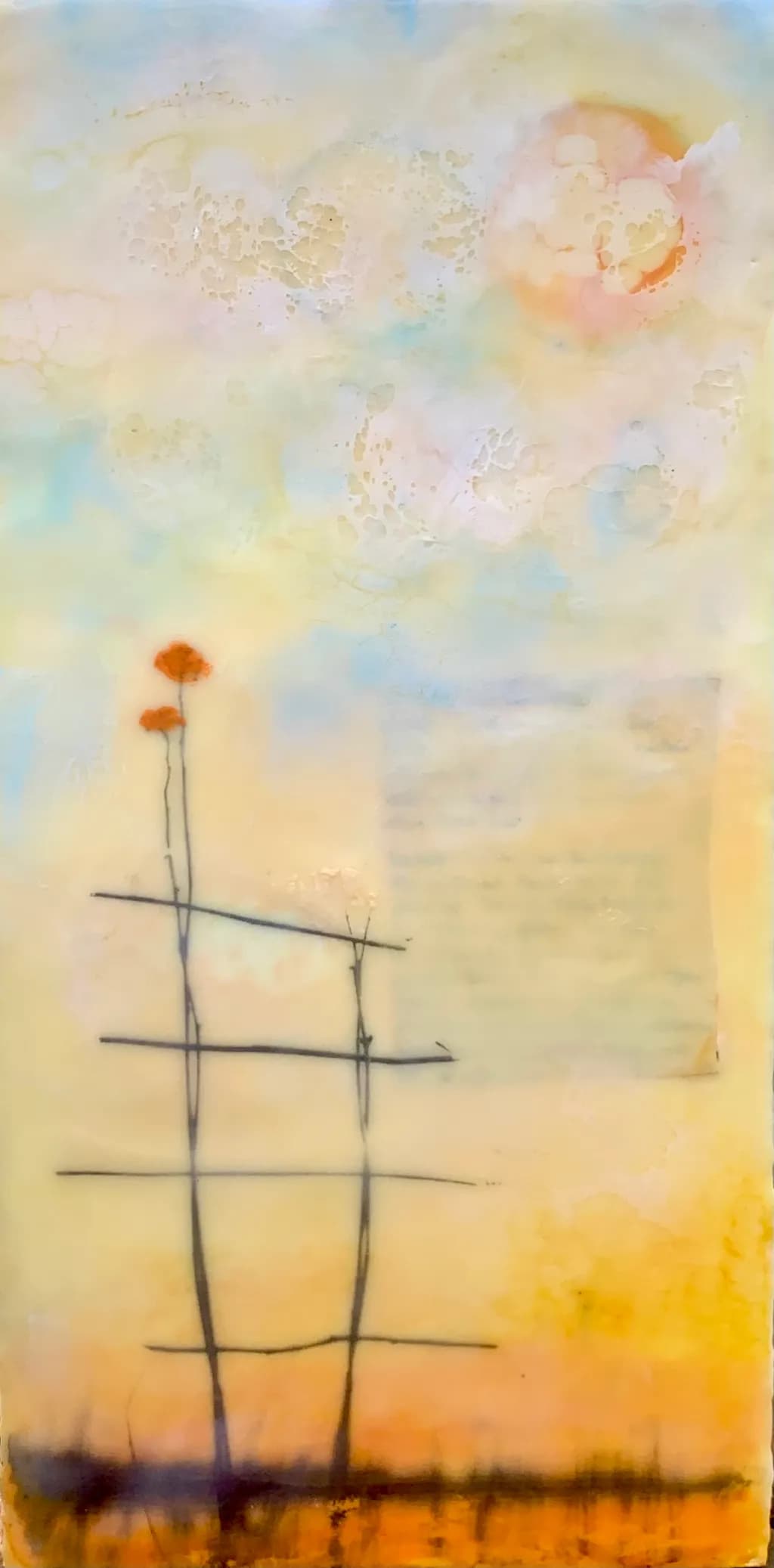 Fleeting Blooms