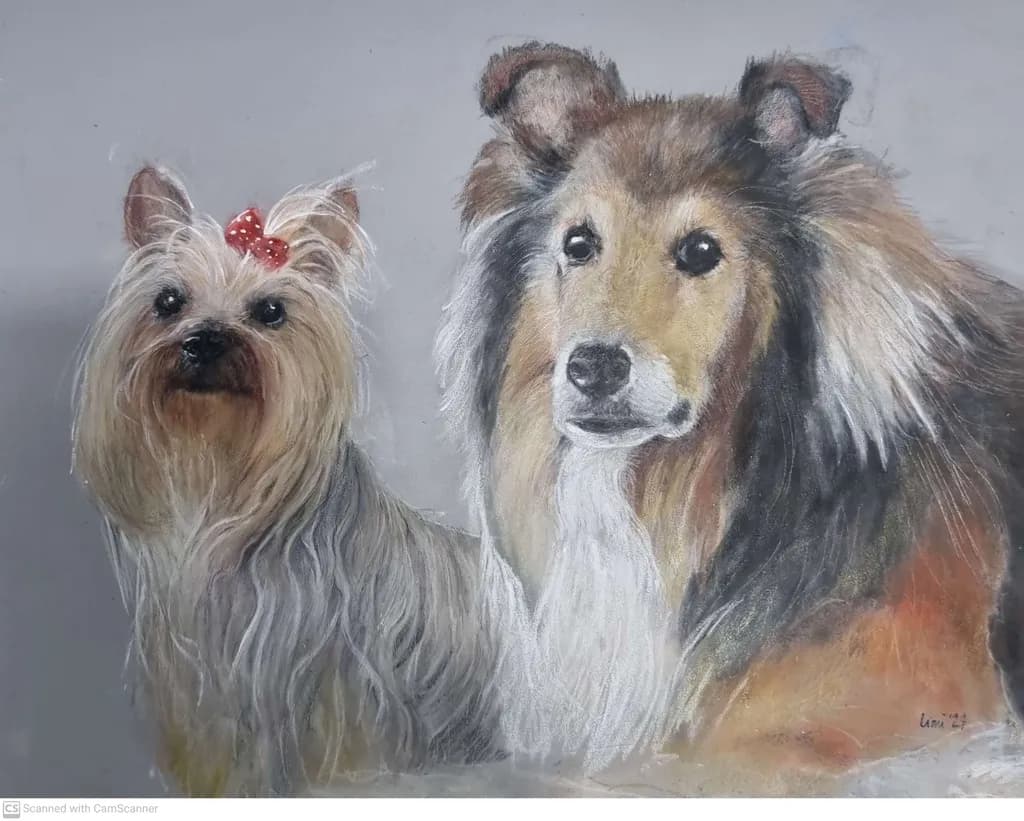 Gentle Companions