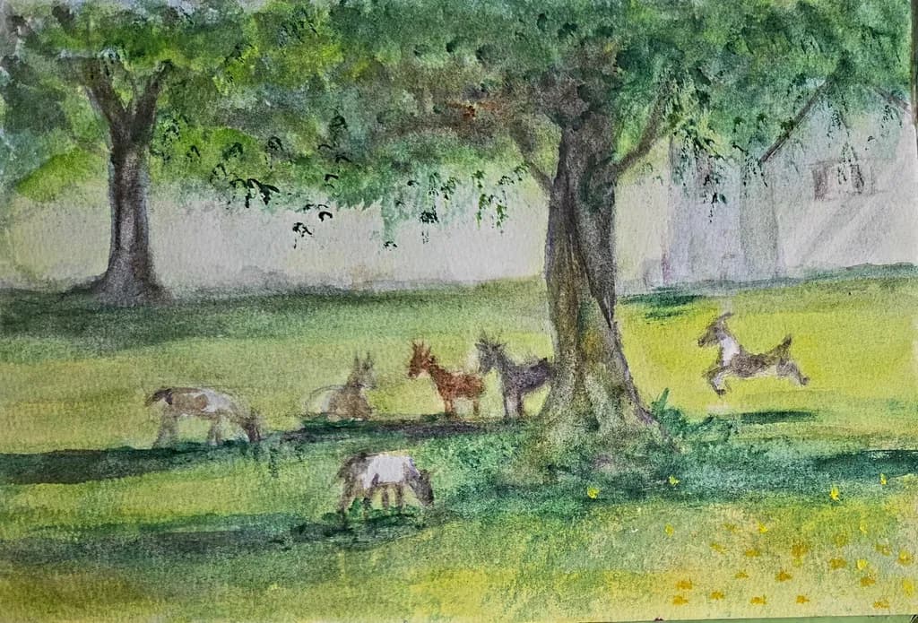 Pasture Playtime