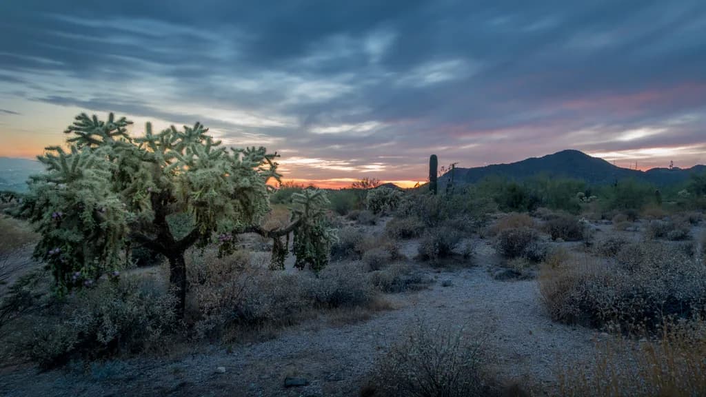 Desert Sunset Trail