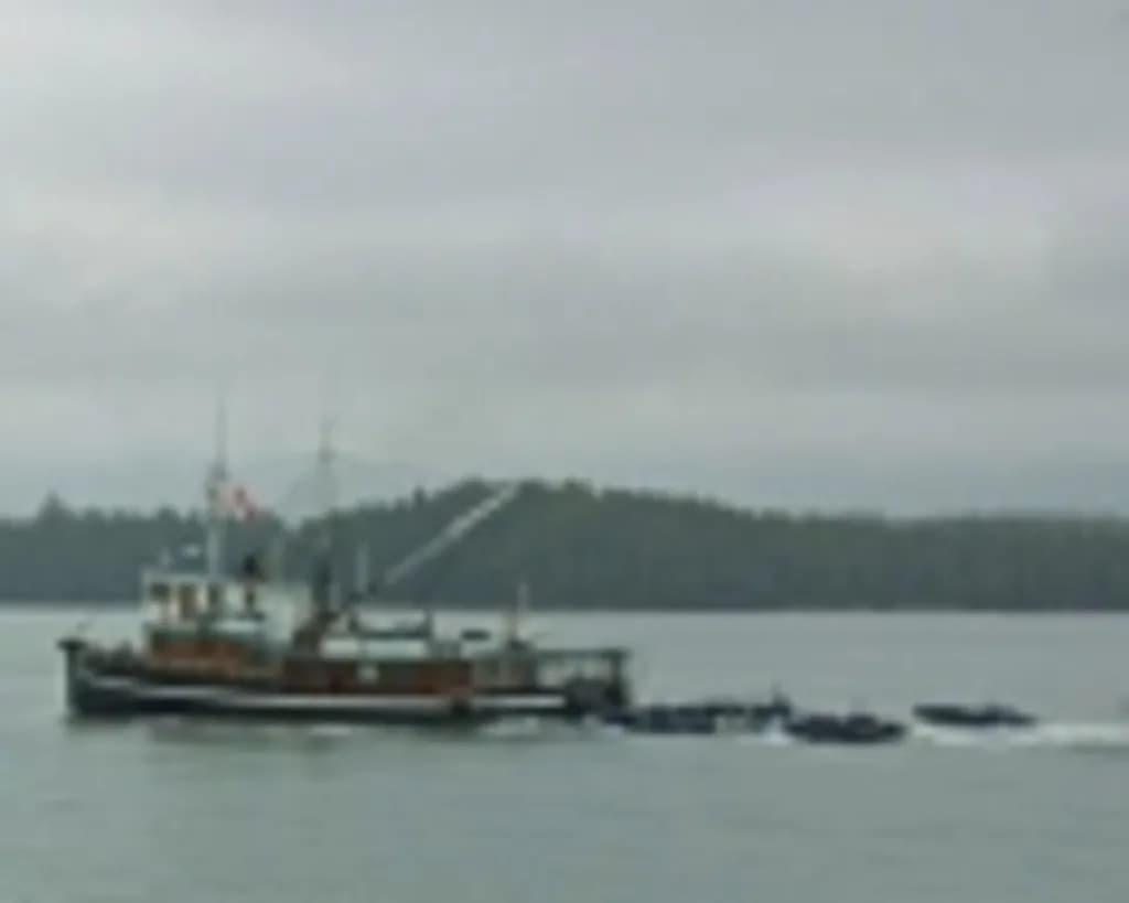 Quiet Harbor Tugboat