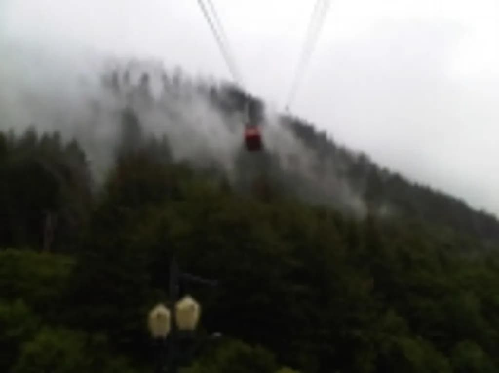 Misty Ascent