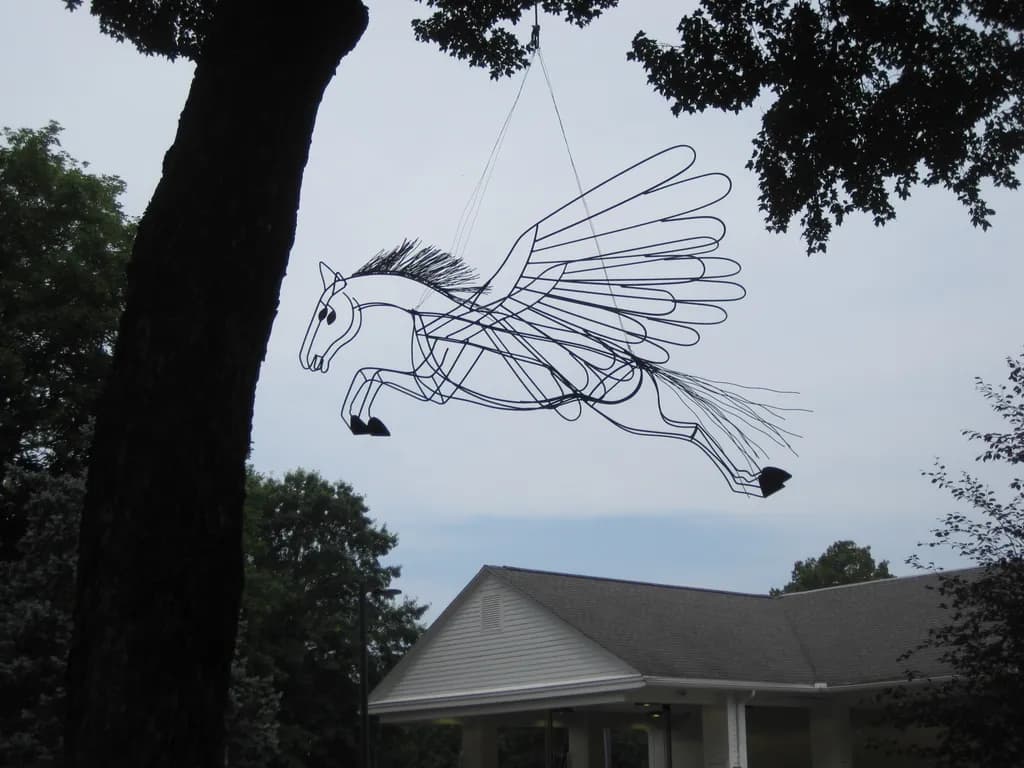 Pegasus Flight