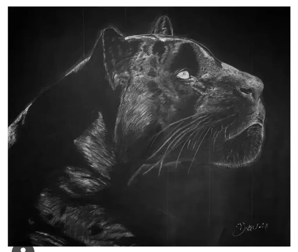 Majestic Panther Profile