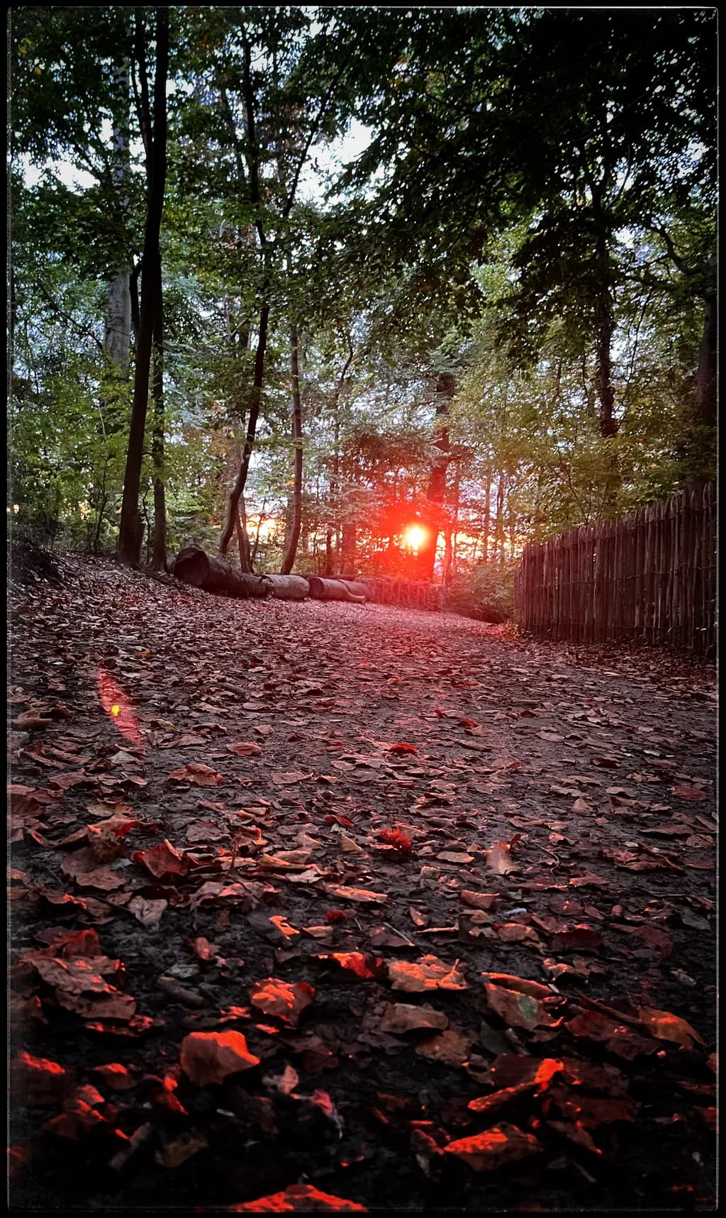 Crimson Dusk Trail