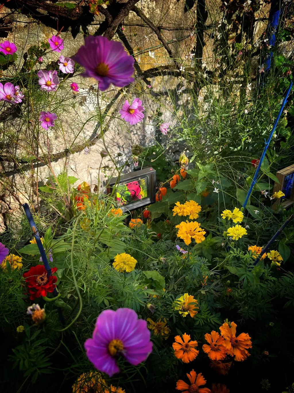 Garden Kaleidoscope