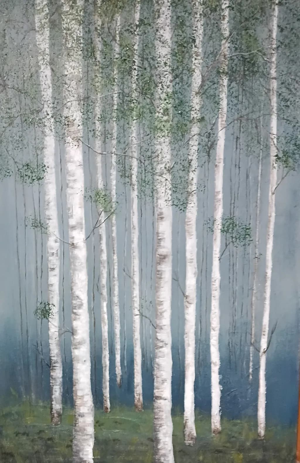 Foggy Silver Birch Grove