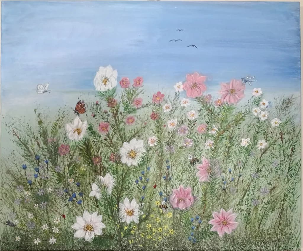 Wildflower Meadow