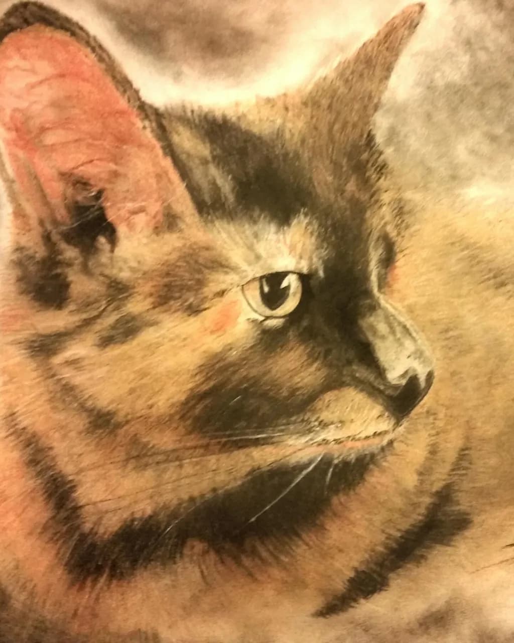 Focused Gaze