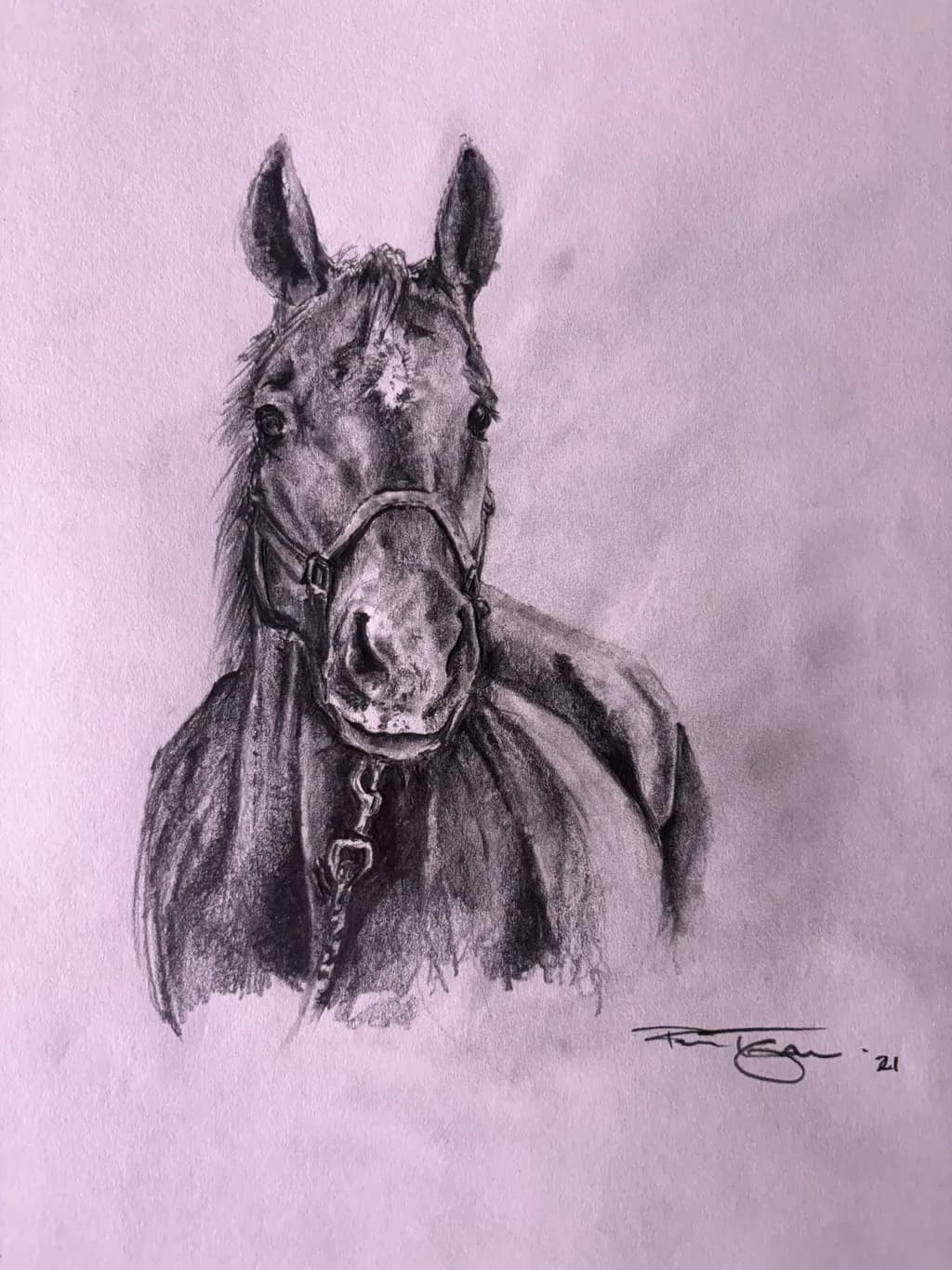 Charcoal Stallion Portrait