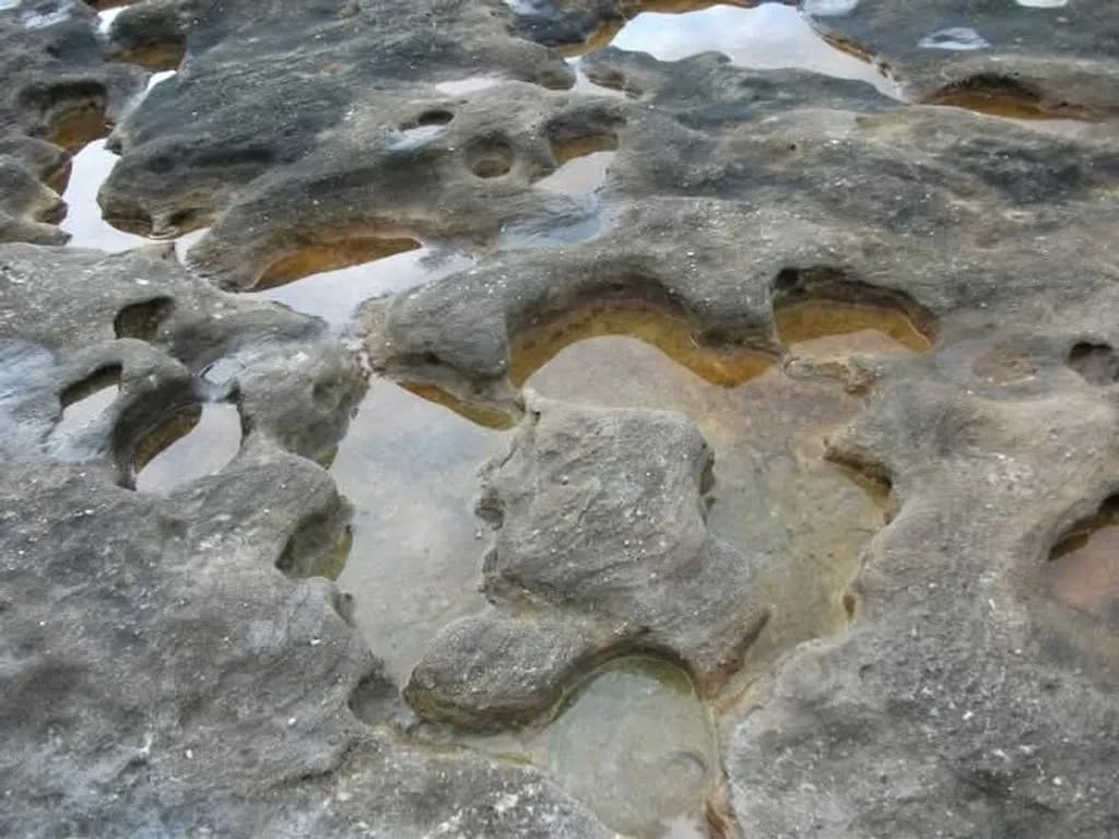 Tide Pool Texture