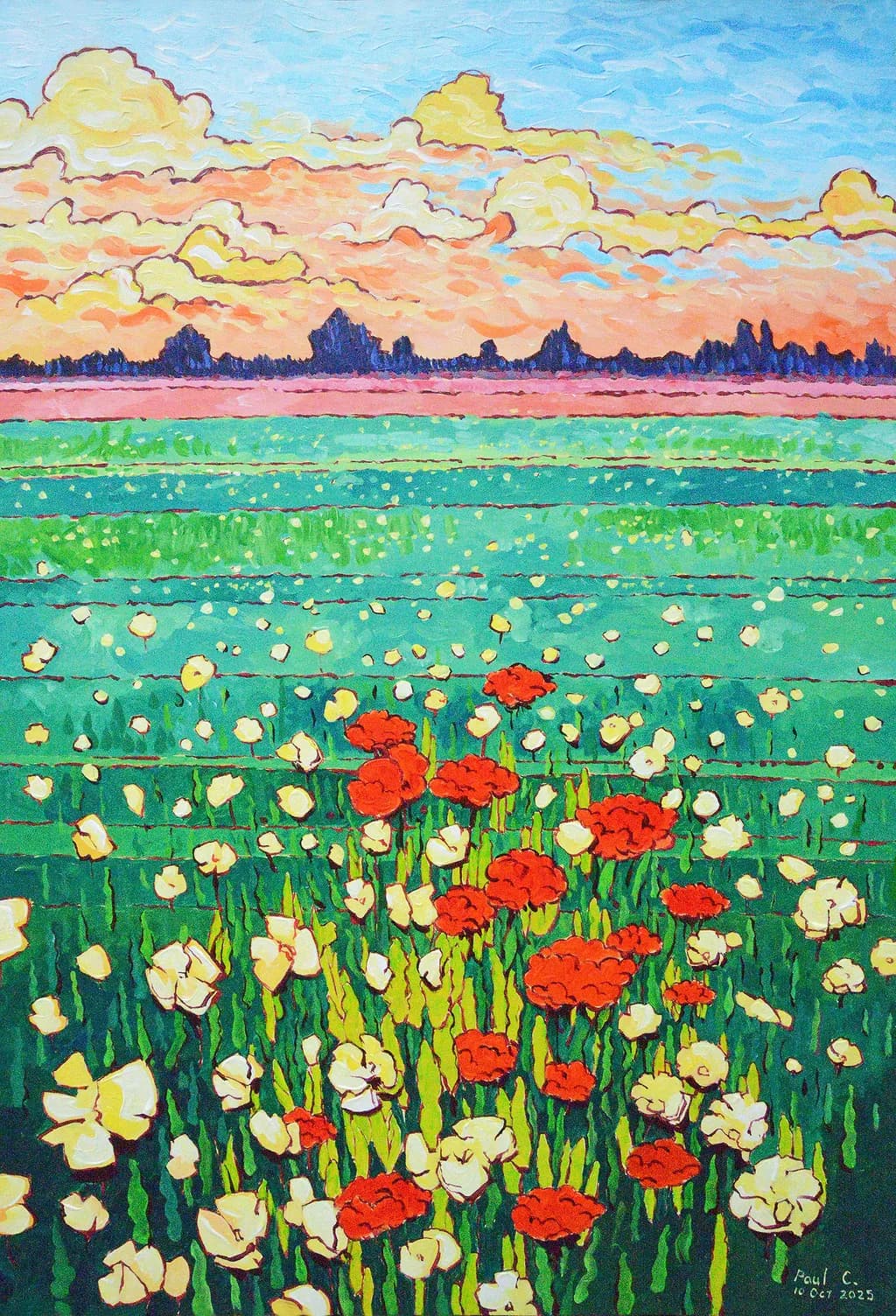 Spring Field Wildflowers