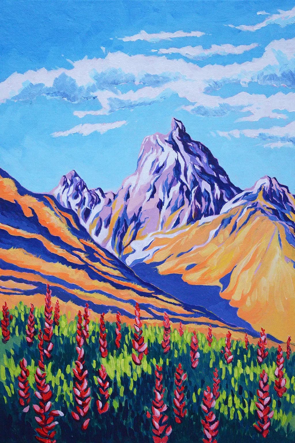 High Mountain Wildflowers