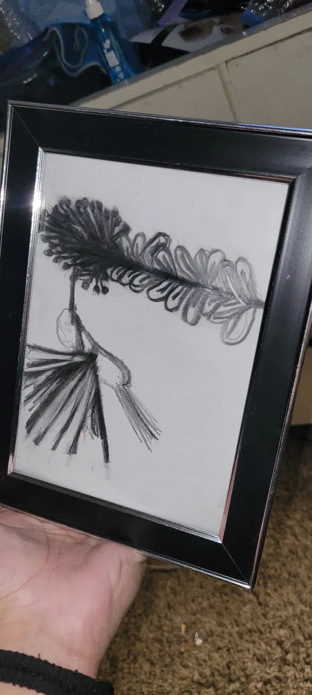 Feather Study