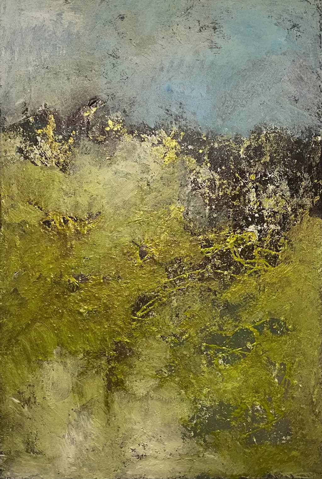 Moss Veil