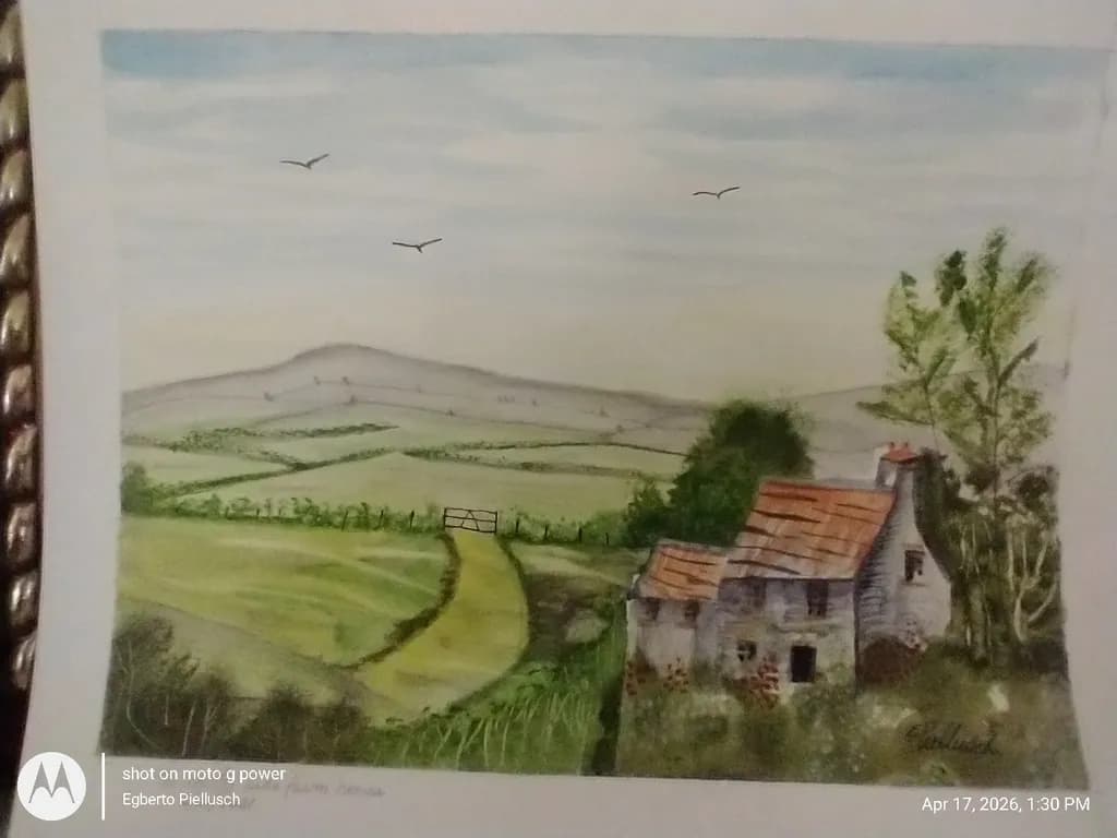 Countryside Homestead