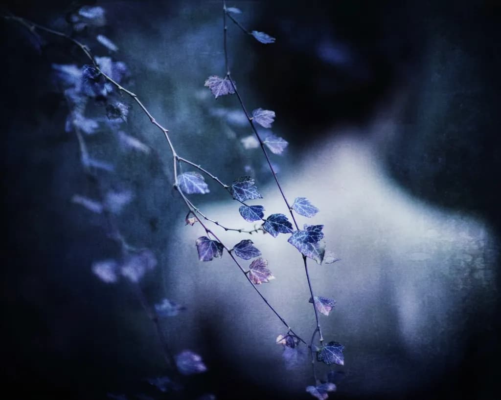 Ivy Embrace
