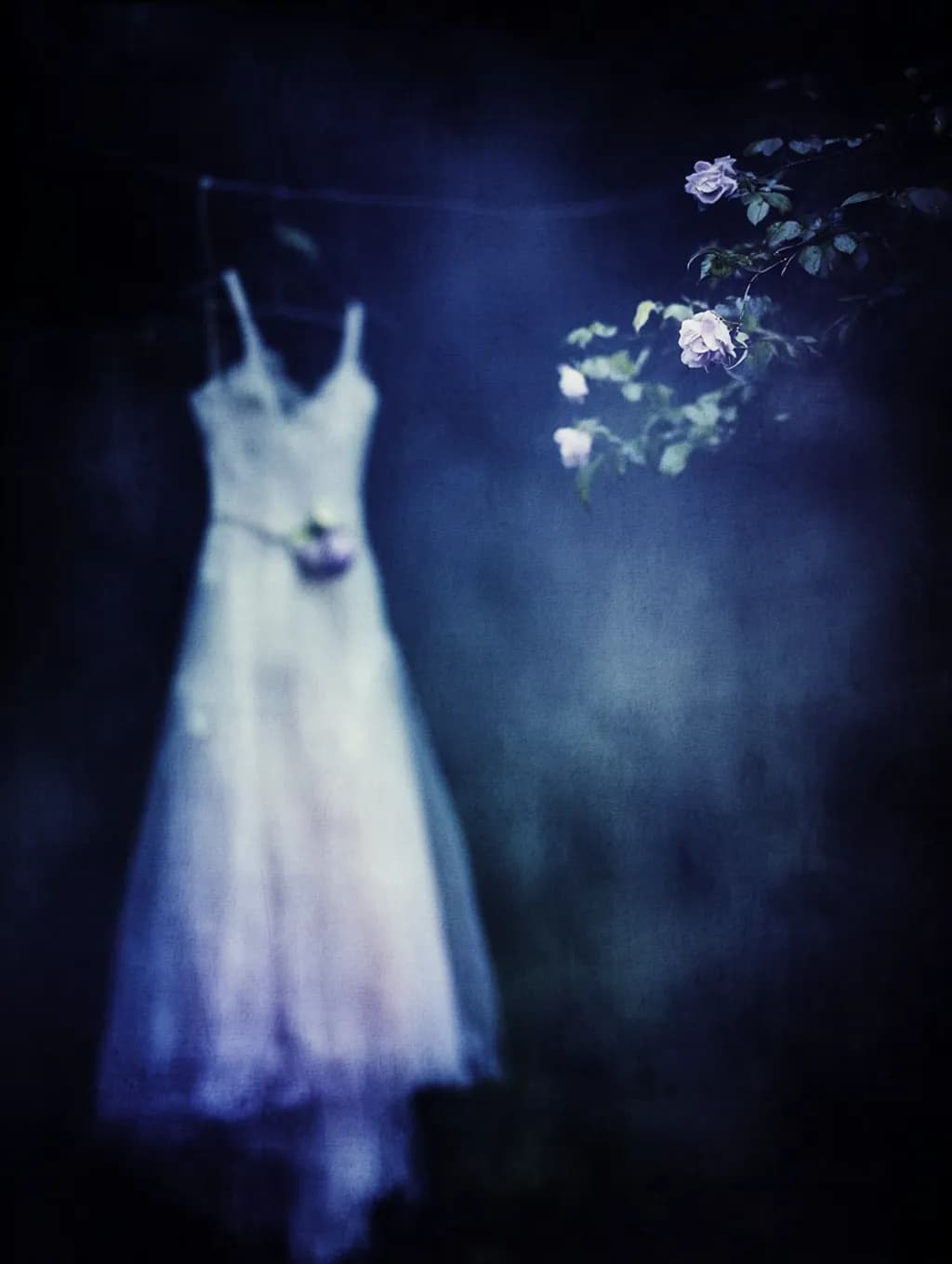 Wedding Dress Reflection