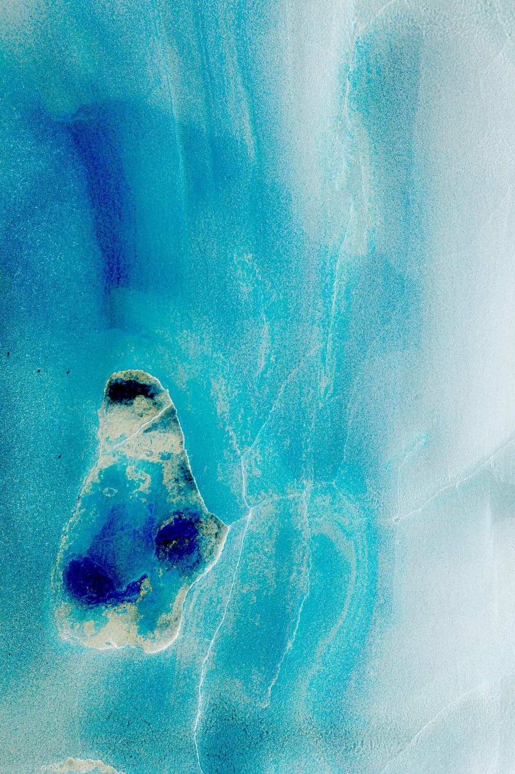 The Embryo