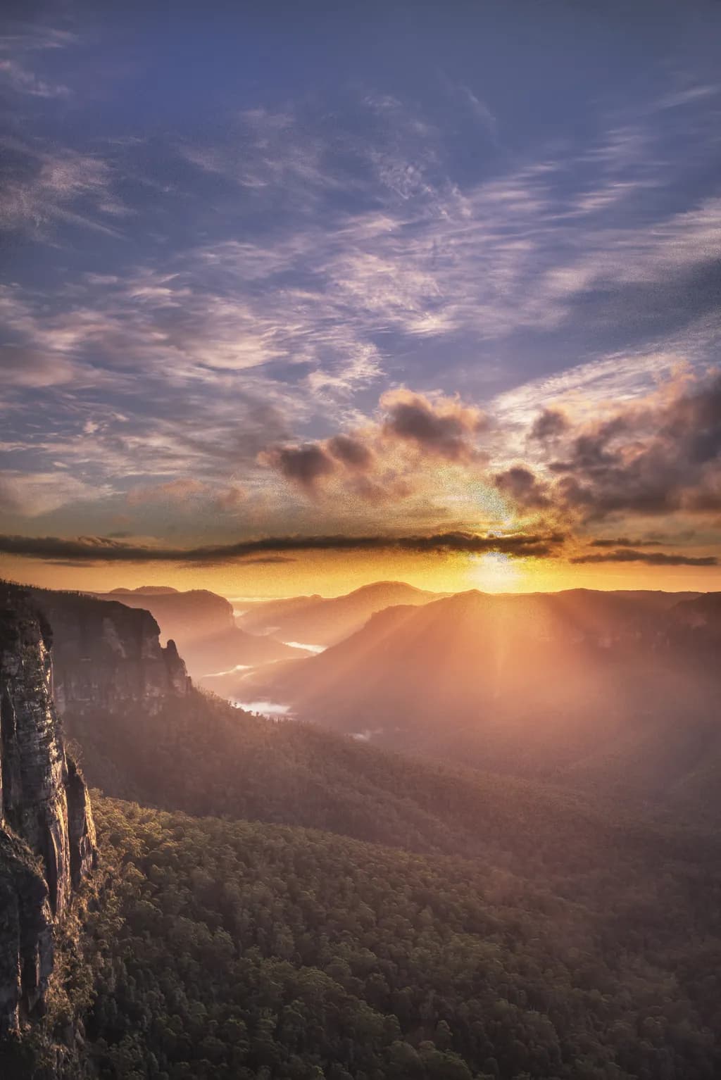 Govetts Sunburst
