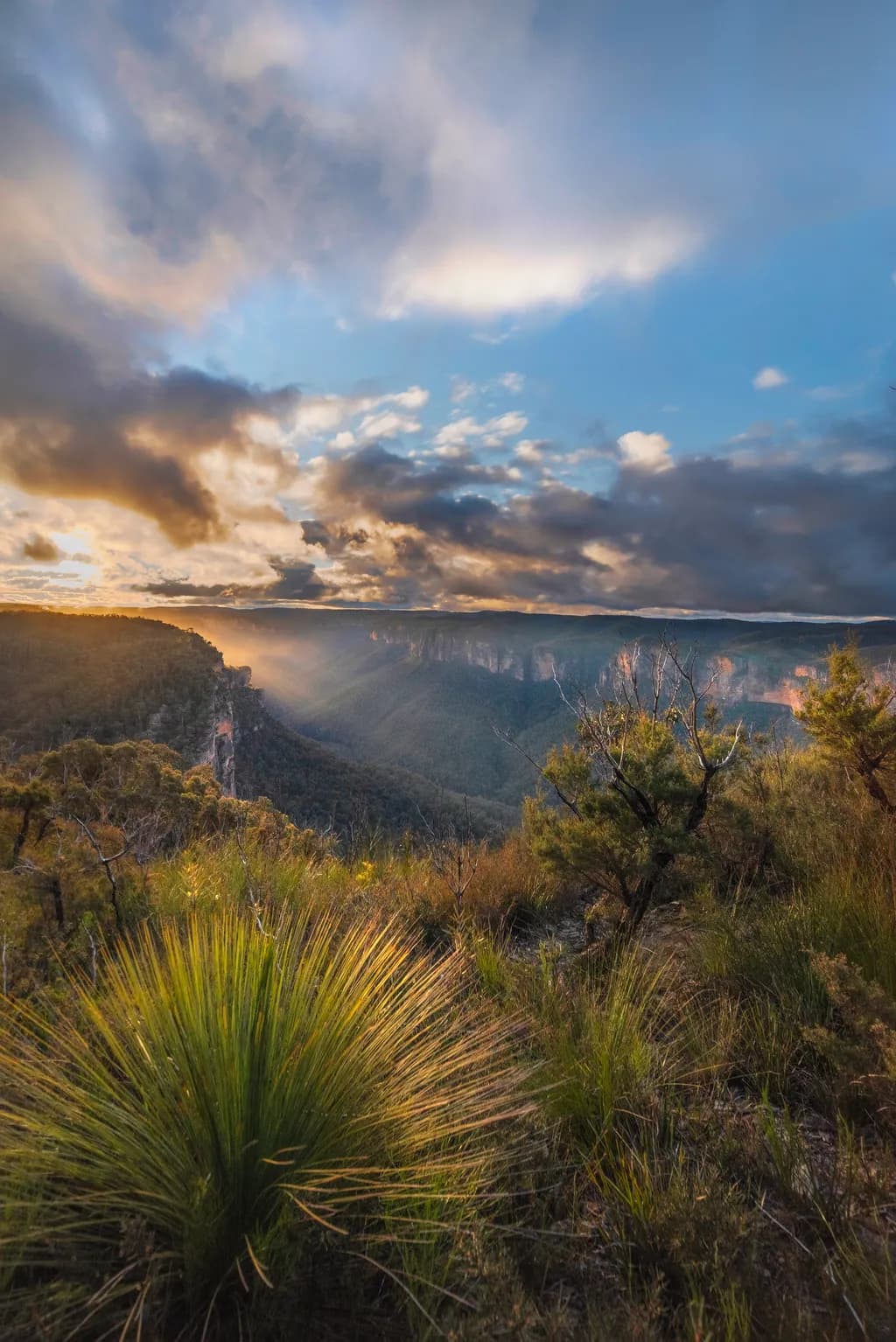 Light Flares Grose Valley