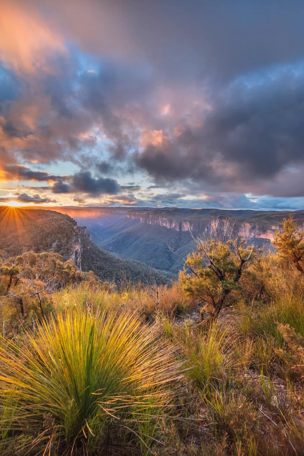 Last Light in the Grose Valley
