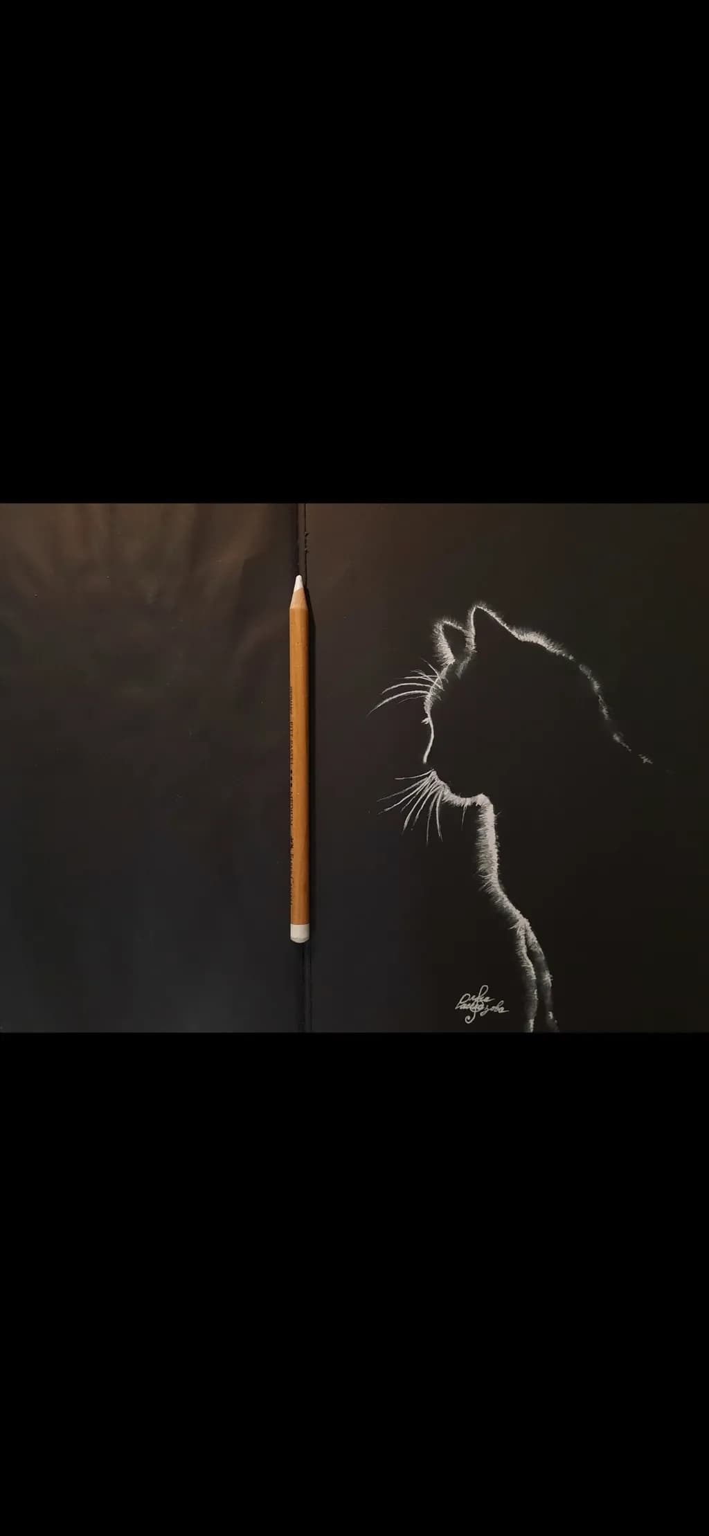 Silent Silhouette