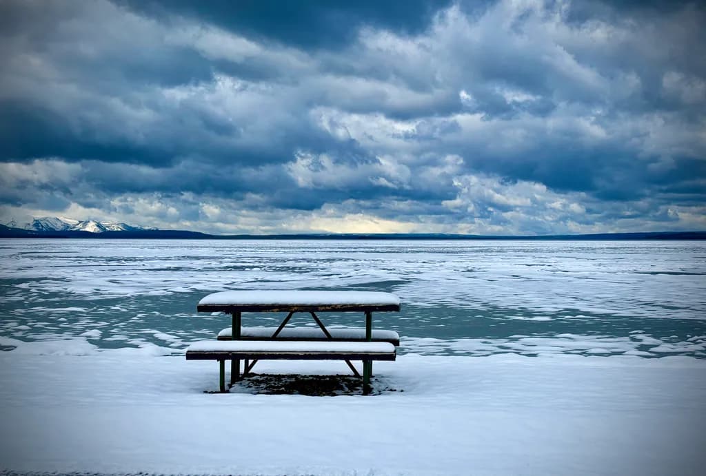 Frozen Solitude