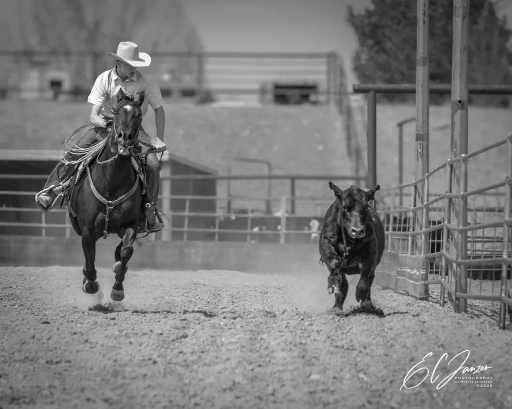 Chasing Ground