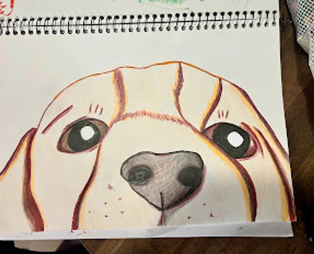 Curious Pup