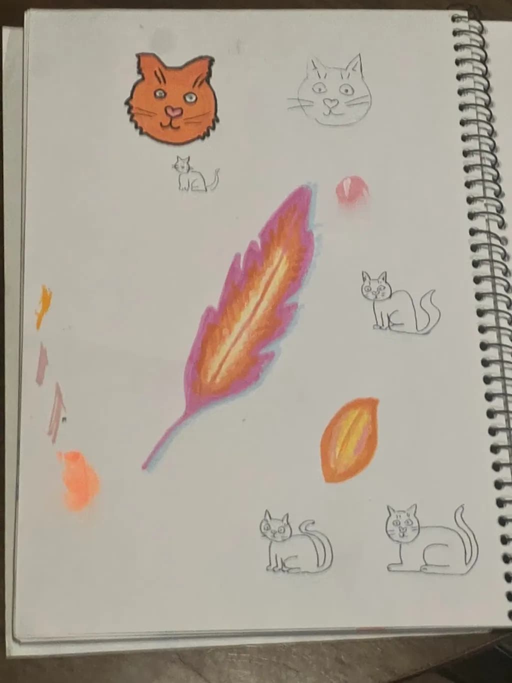 Cat Expressions and Feathers
