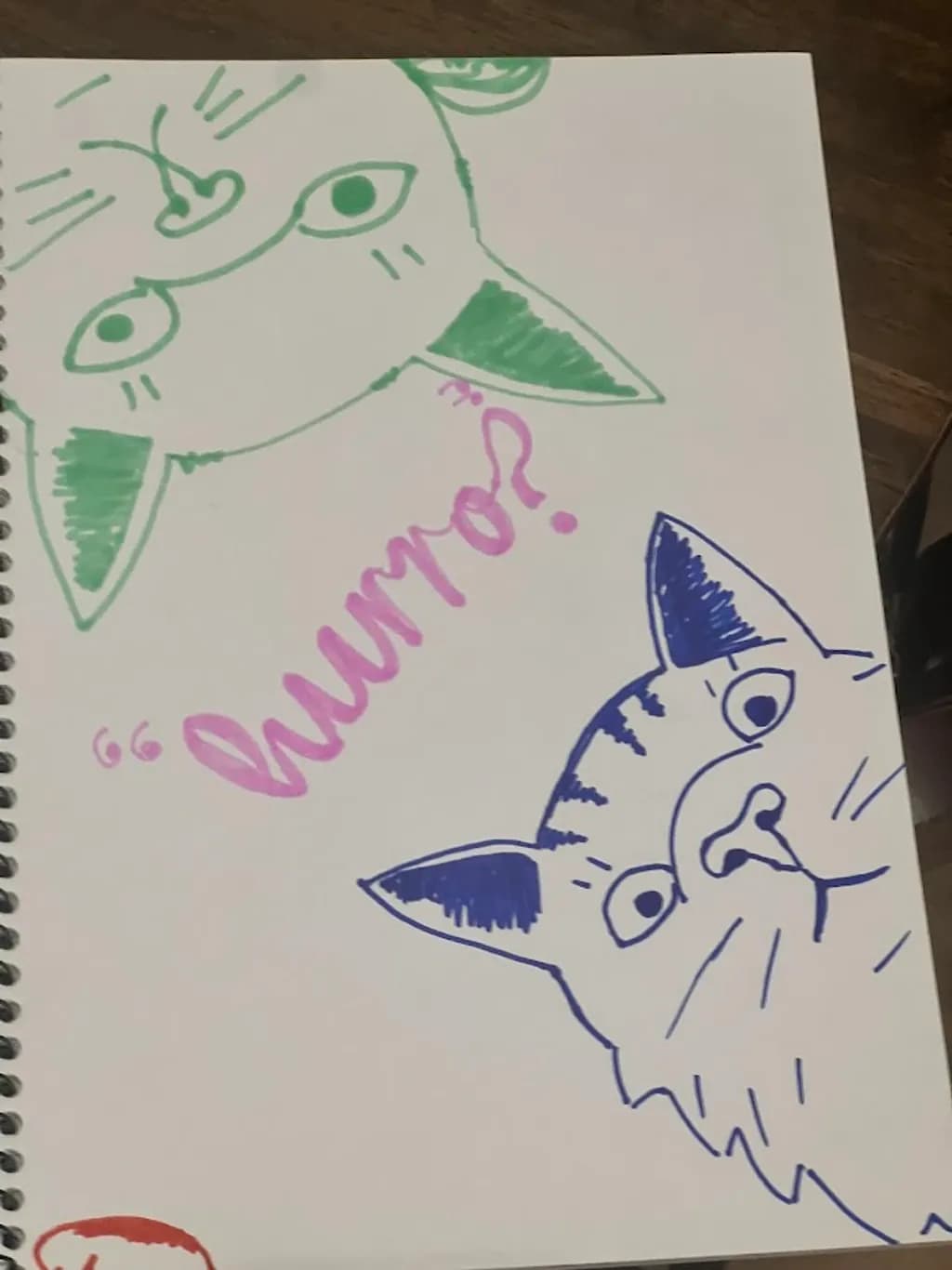 Dual Cat Gaze