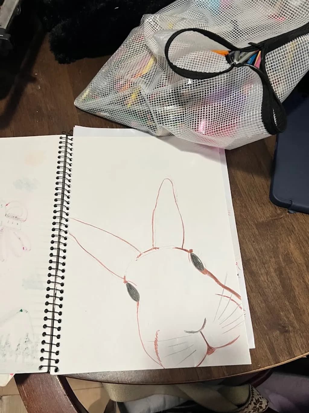 Curious Hare