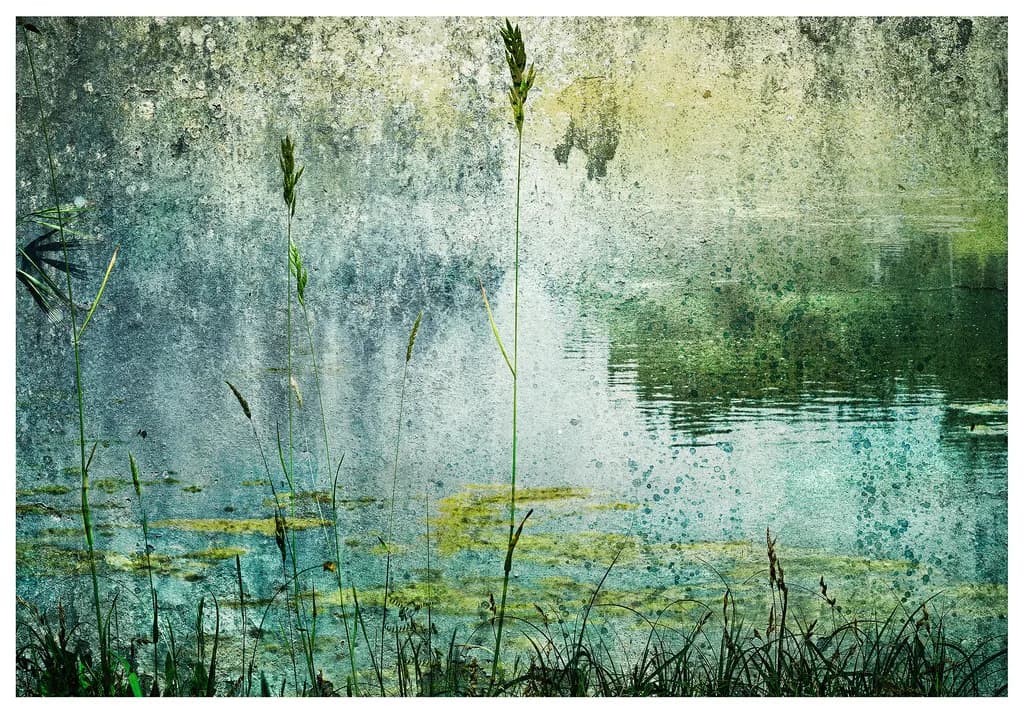 Misty Lake, Surface