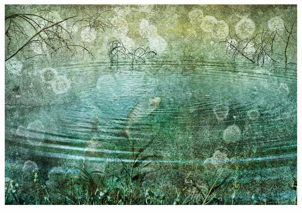 Misty Lake Reflections