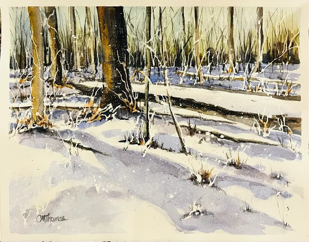 Winter Shadows