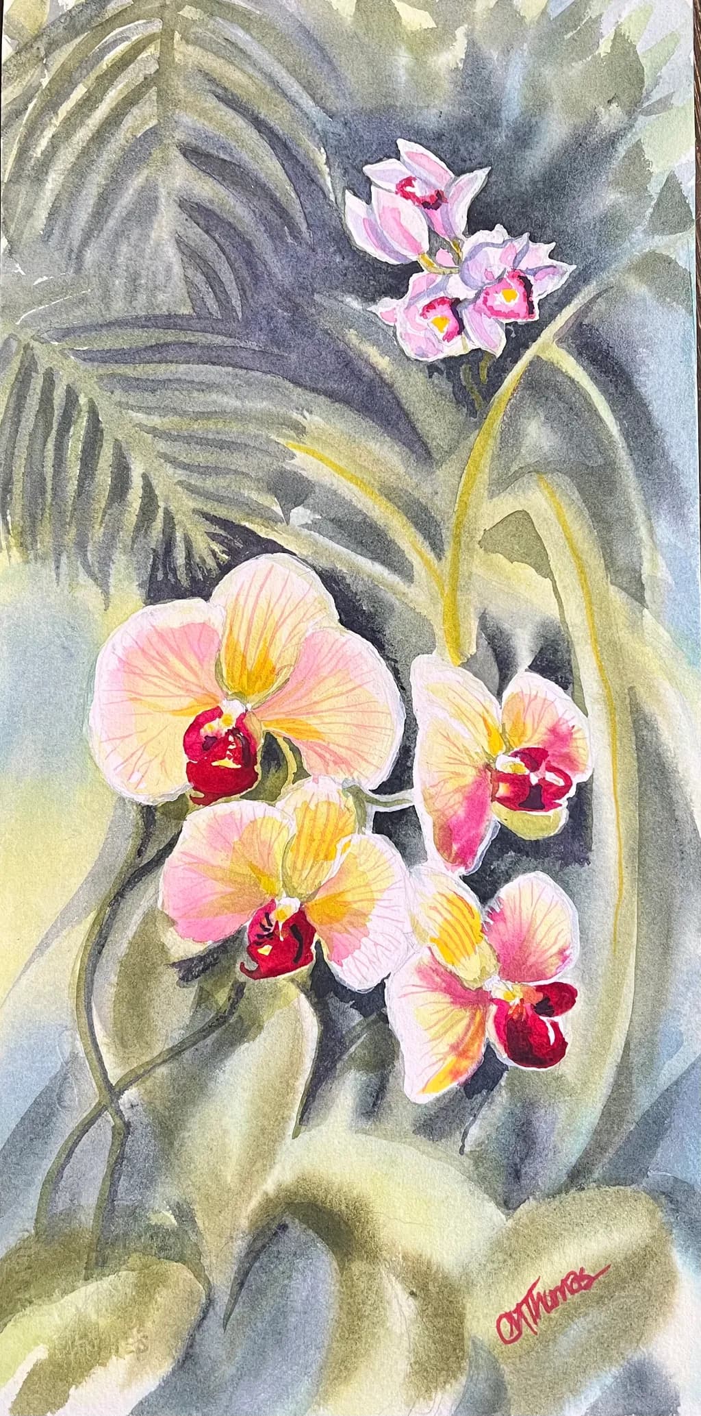 Orchid Glow