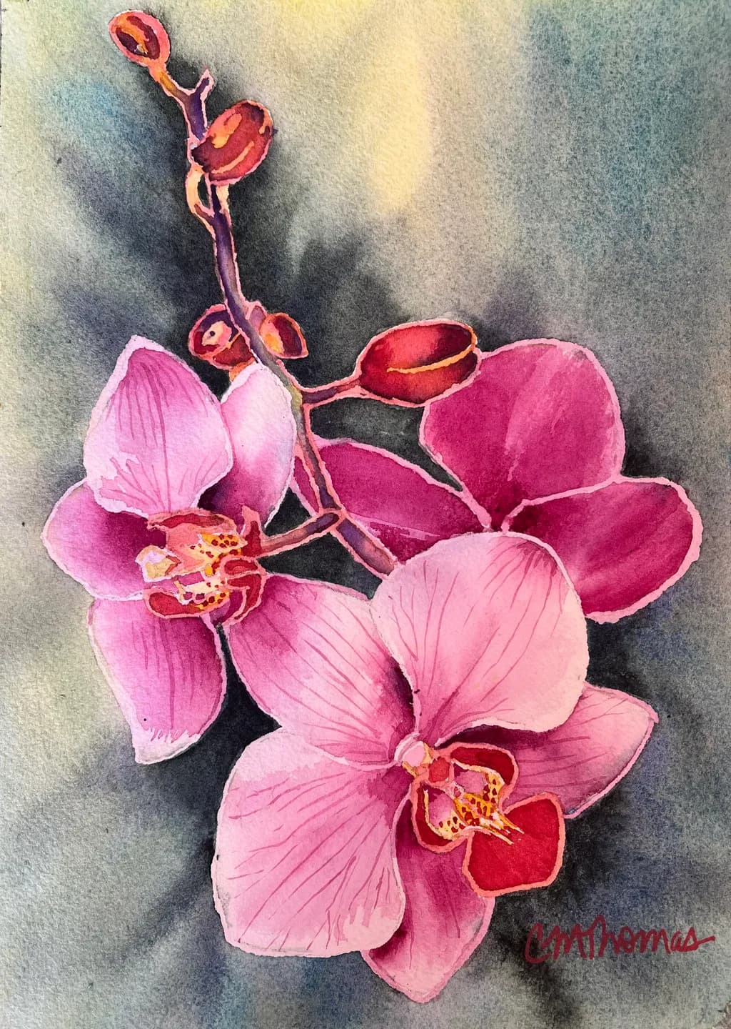 Orchid Bloom
